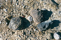 az-14.jpg