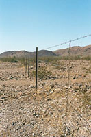 az-17.jpg
