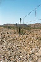 az-18.jpg