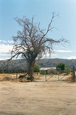 az-6.jpg