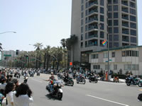 DSCN1738.jpg (39kb)