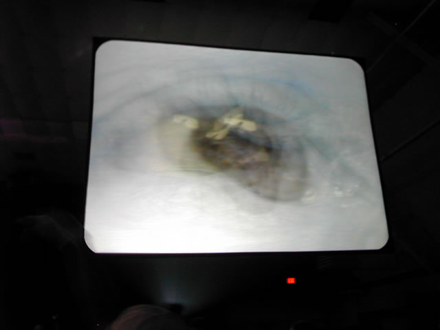 photo0061