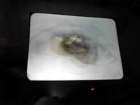 photo0061 (18kb)