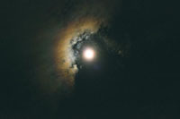 nn-25.jpg