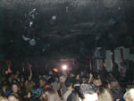 pussycat011902-18.jpg