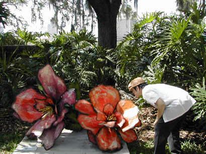 erika smellin some really lagre flowers