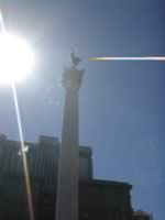 photo3160 (22kb)